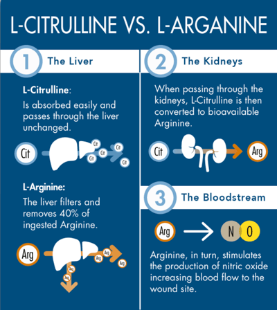 L-Citrulline vs L-arginine