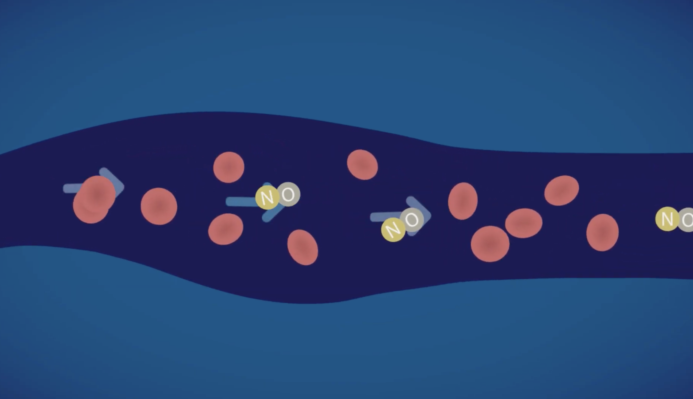 nitric oxcide improving blood flow to wound sites